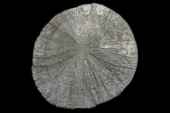 Pyrite Sun - Sparta, Illinois #154069